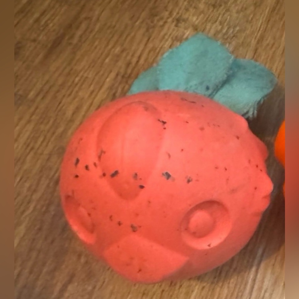 Bark Box Rubber bird L dog toy NEW without tags